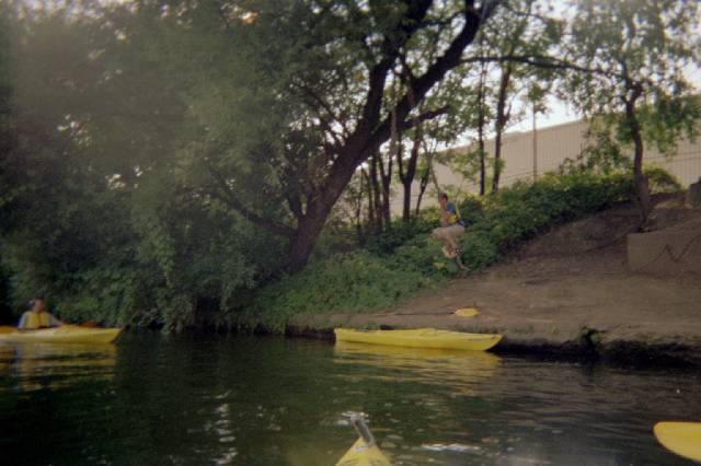 Original image