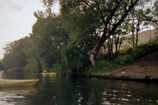 Original image
