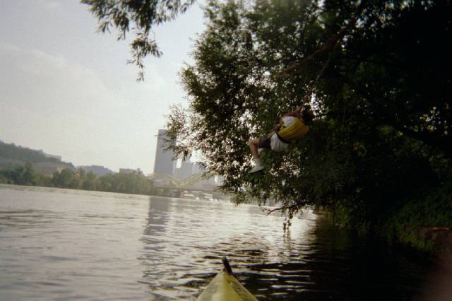 Original image