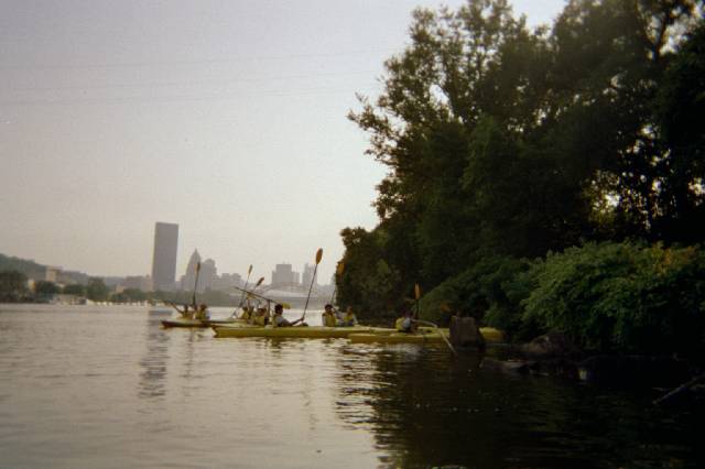 Original image
