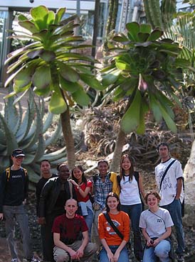 031groupBotanicalGardenTrees