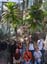 031groupBotanicalGardenTrees