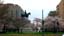 160cherryTrees