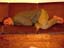 280andrewSleeping