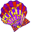 Colorful Calm Shell