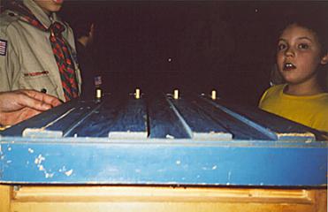 pine-track.jpg (14474 bytes)