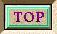 Top of Page