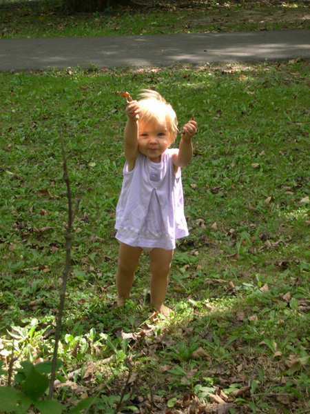 leaves!