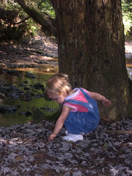 playing in the dirt