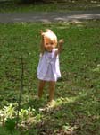 leaves!