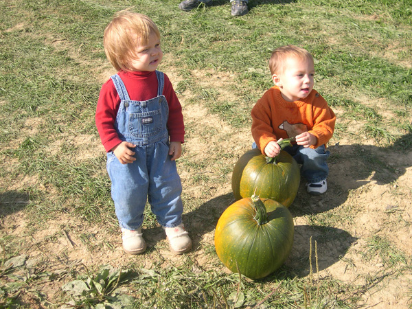 we pick these