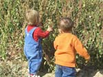 Lew and Siena exploring