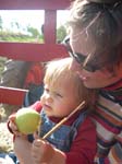 enjoy the hayride