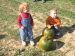 we pick these