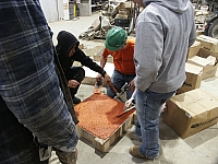 pict4529.jpg