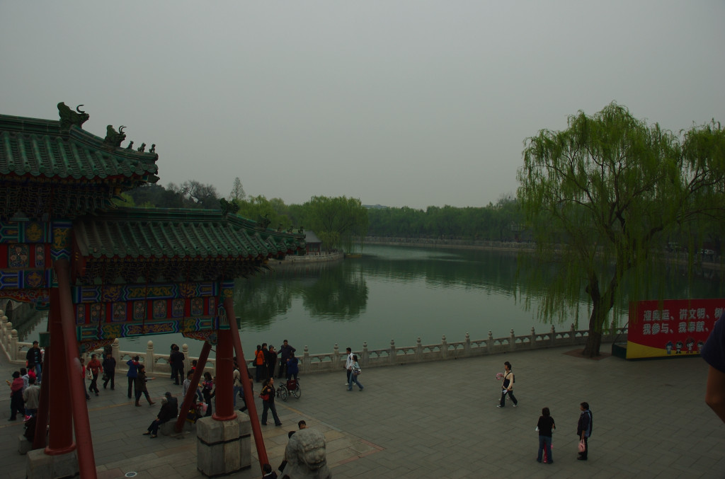 dsc_3843.jpg