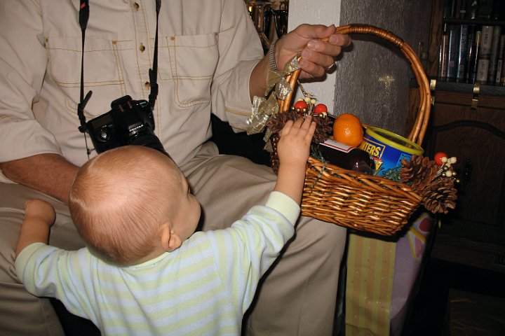 IMG_2821.JPG - The obsession with oranges commences.