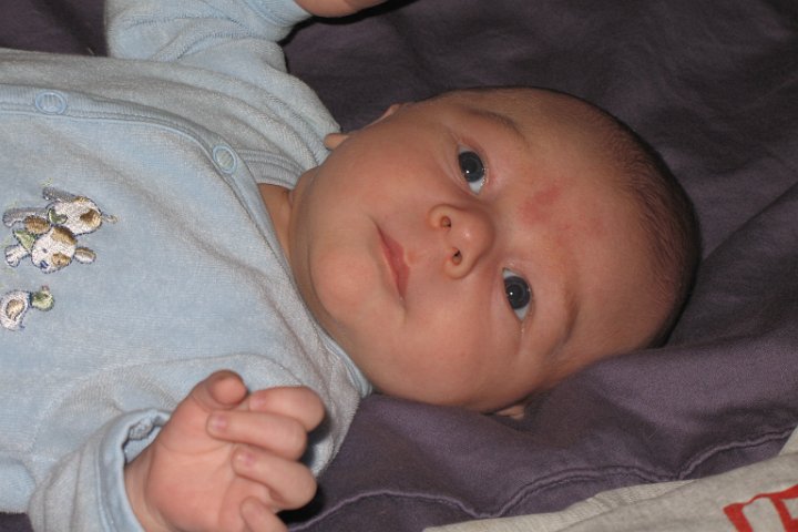 IMG_1284.JPG - Cutie-pie.