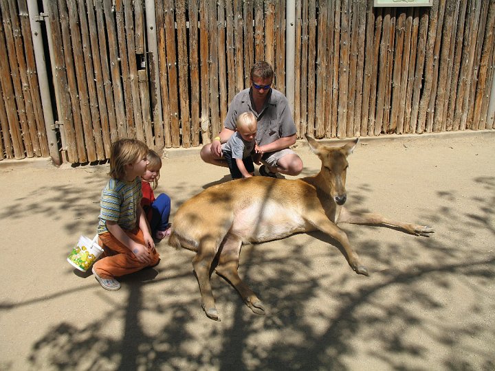 IMG_4527.JPG - Petting area at the San Diego Wild Animal Park.