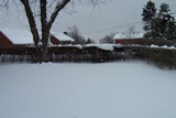 Snowy Backyard