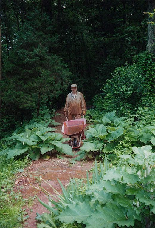 crawl space: moving earth