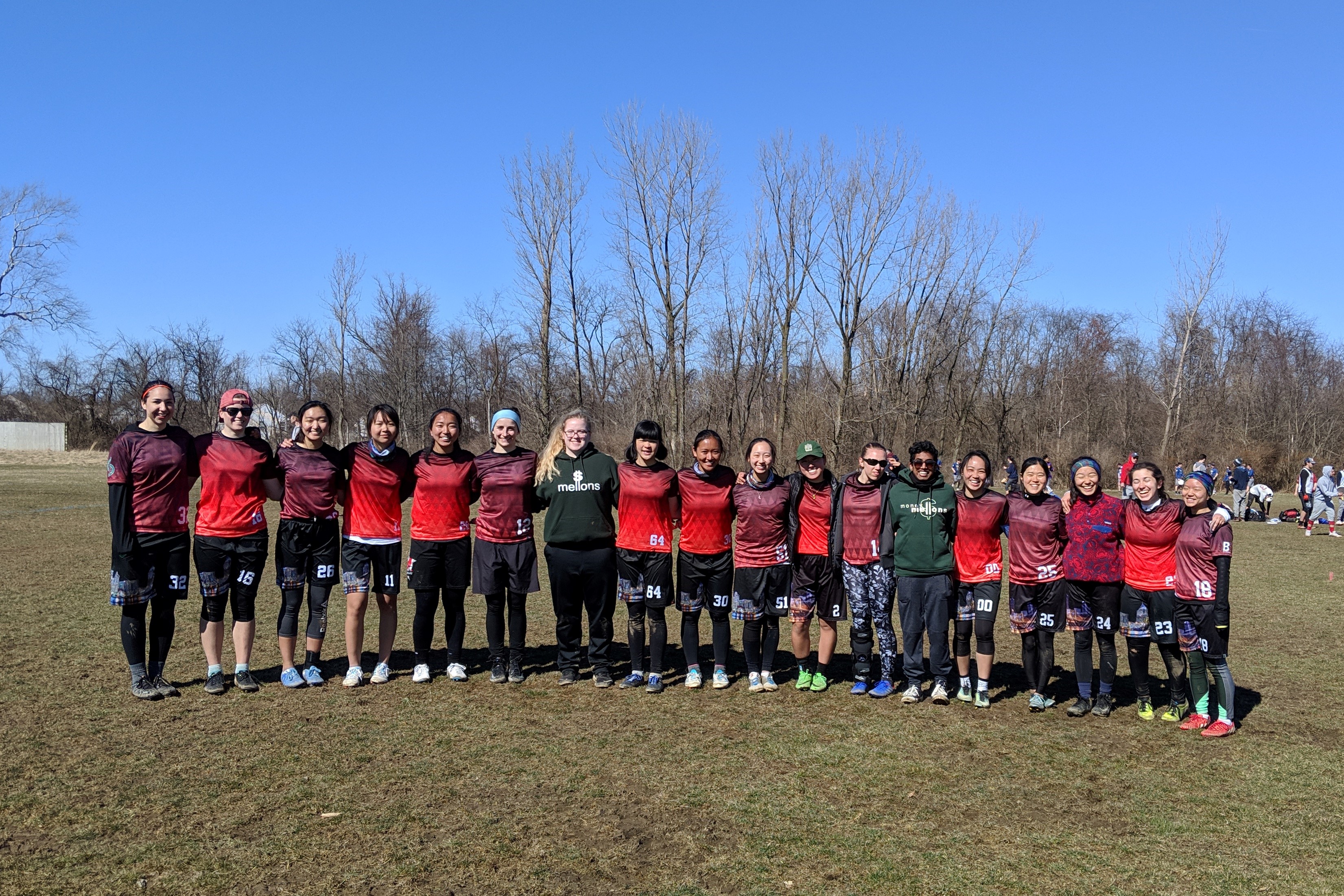 mellons lined up by height