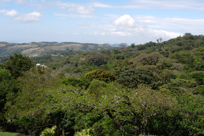 Monteverde02.JPG