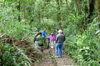 Monteverde24.JPG