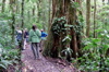 Monteverde29.JPG