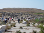 Delos  1