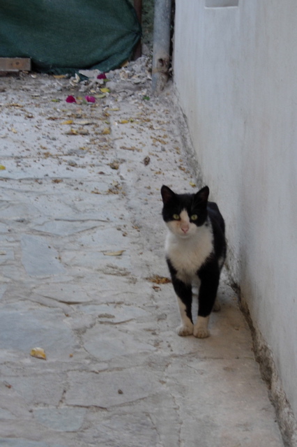 Nafplio12.JPG