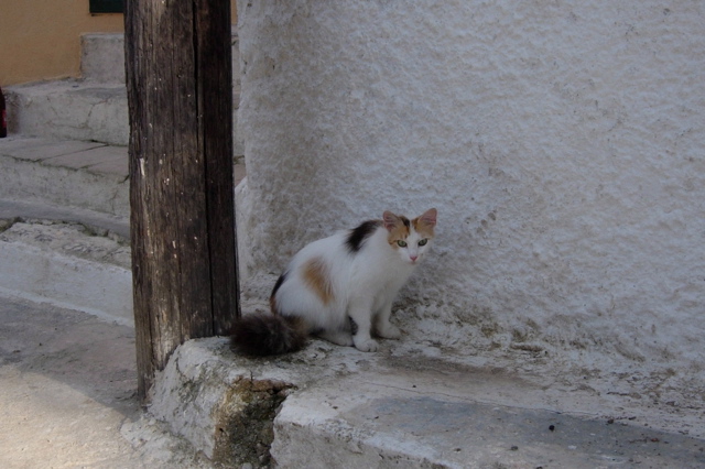 Nafplio15.JPG