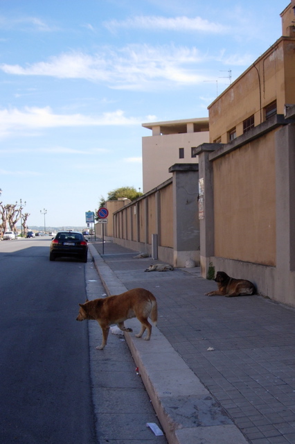 Trapani01.JPG