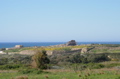 Selinunte04.JPG