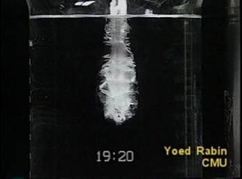 11920