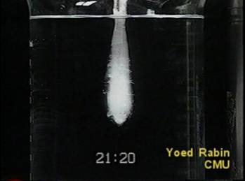 12120