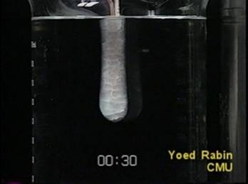 20030