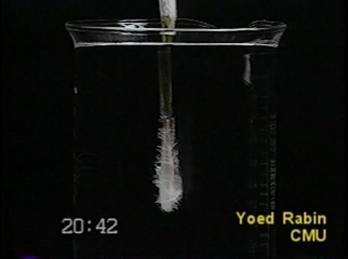 32042