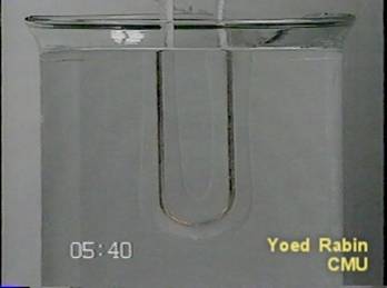 50540